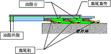 盾尾油脂仓构造图